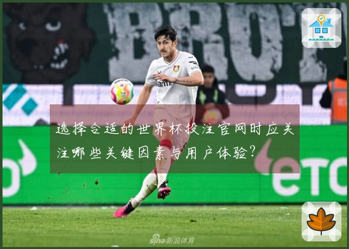 选择合适的世界杯投注官网时应关注哪些关键因素与用户体验？