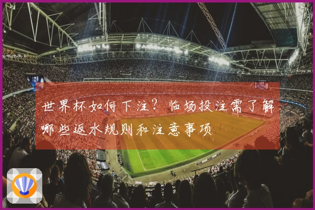 世界杯如何下注？临场投注需了解哪些返水规则和注意事项