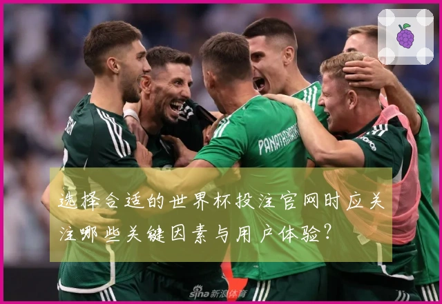 选择合适的世界杯投注官网时应关注哪些关键因素与用户体验？