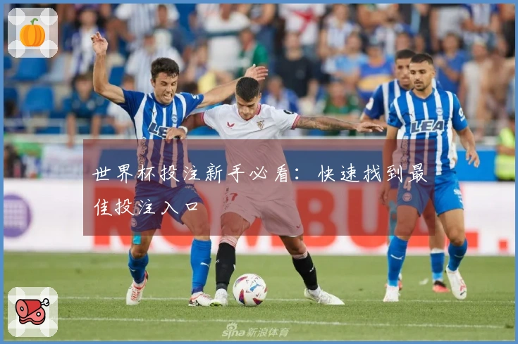 世界杯投注新手必看：快速找到最佳投注入口