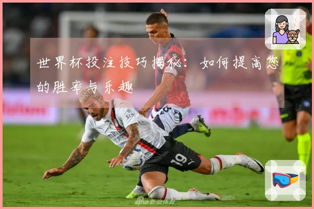 世界杯投注技巧揭秘:如何提高您的胜率与乐趣