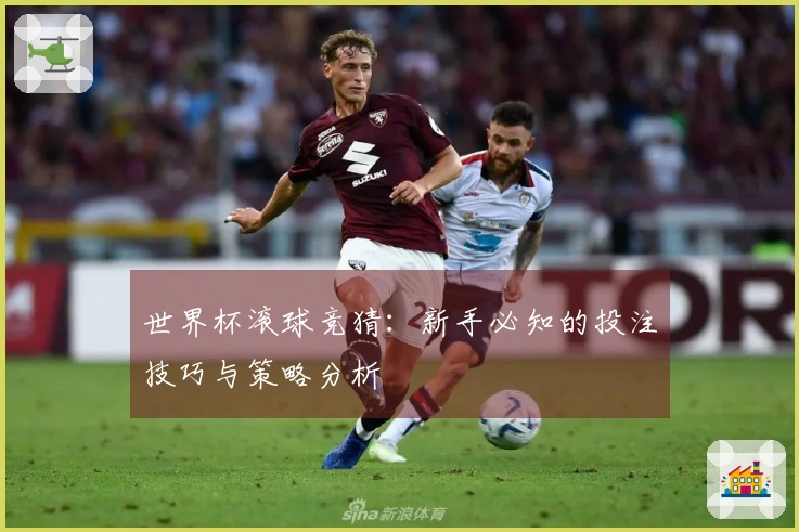 世界杯滚球竞猜：新手必知的投注技巧与策略分析